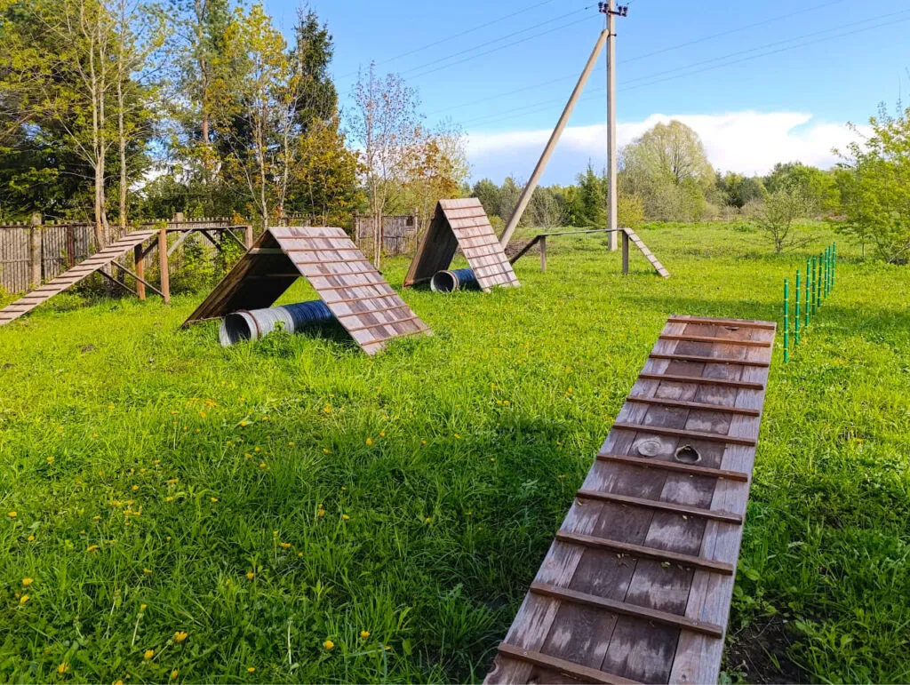 Локация на природе в Подмосковье с оборудованной игровой площадкой и полями для активных игр и отдыха. Отличное место для семейного отдыха или проведения мероприятий на свежем воздухе.