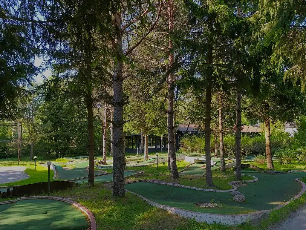 Уютный мини-гольф под кронами деревьев в природном окружении, зона отдыха в Подмосковье. Идеально для семейного досуга и отдыха на природе.