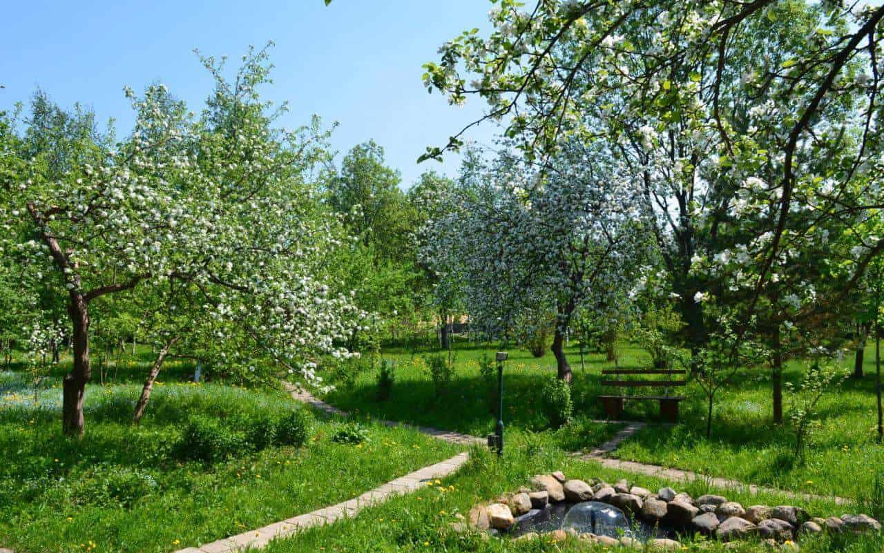 Уютный сад в ВЕ ART RESORT с цветущими деревьями и зелеными газонами, спокойная атмосфера для отдыха на природе в Подмосковье.