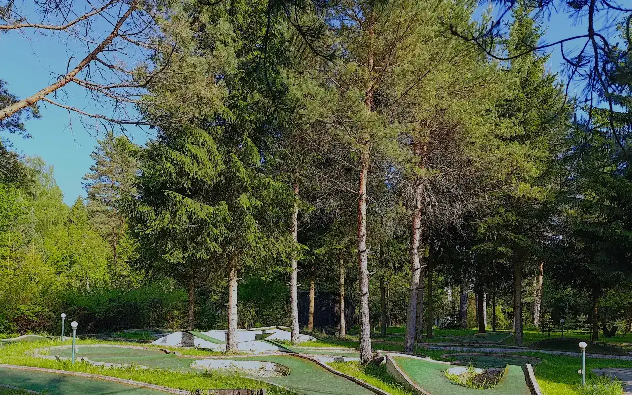 Уютный мини-гольф на фоне густого леса в ВЕ Art Resort, Подмосковье, окружён природой и гарантирующий спокойный отдых и активные развлечения на свежем воздухе.