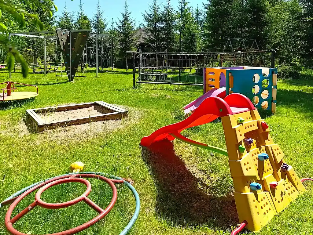 Яркая игровая площадка на территории загородного арт-отеля в Подмосковье, окруженная соснами, с горками, песочницей и различными каруселями для детей.