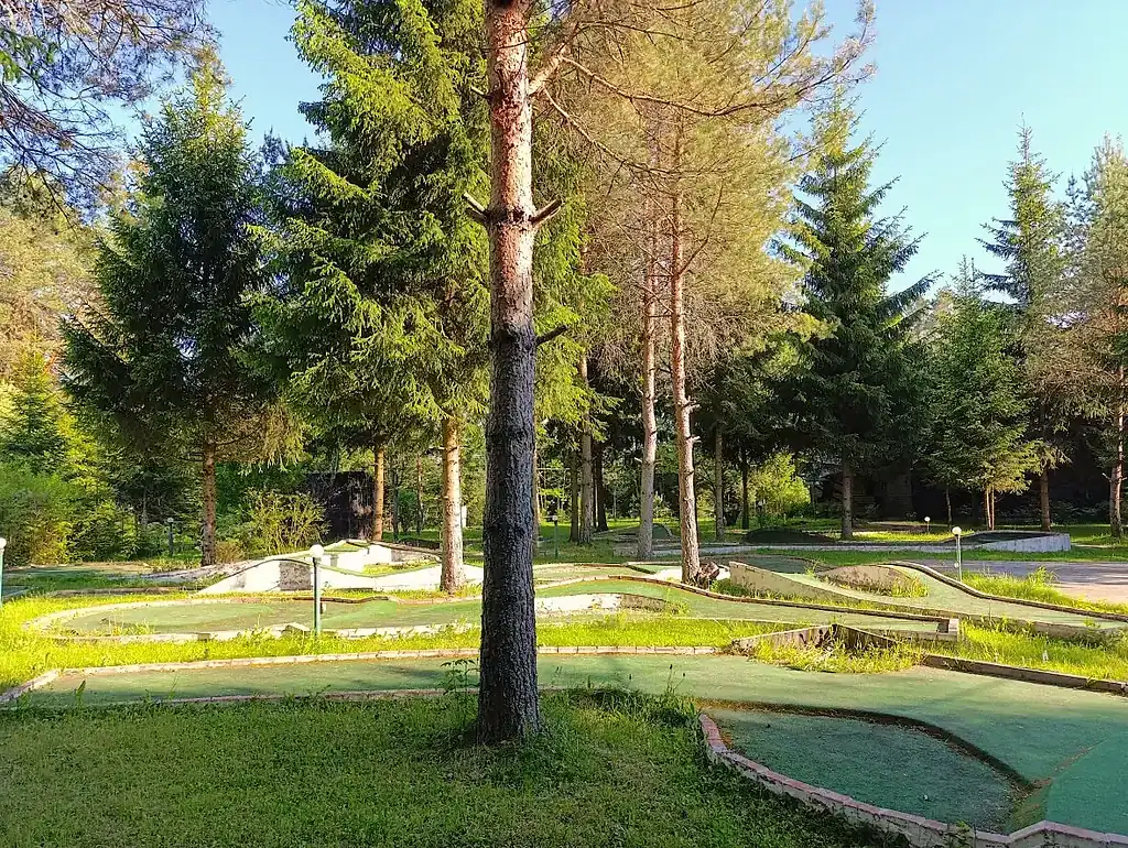 Мини-гольф в лесу, окружённый высокими соснами и зелёной травой, создает атмосферу отдыха и природы в ВЕ Art Resort в Подмосковье.