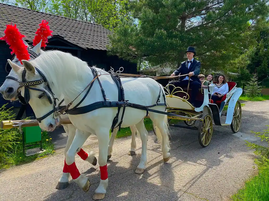 Конная прогулка на карете с лошадью на зеленой тропинке у деревянного домика на фоне деревьев в весенний или летний день.