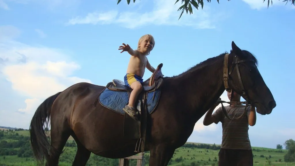 Улыбающийся мальчик на лошади в поле на фоне голубого неба с облаками, активное детское времяпрепровождение на природе.