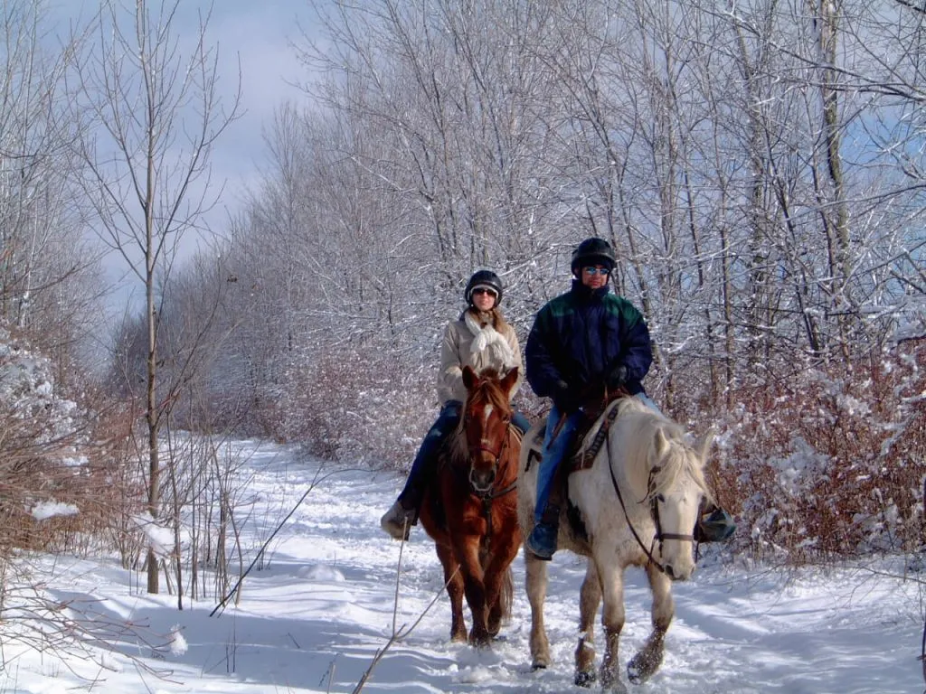 Конные прогулки зимой по заснеженному лесу в Подмосковье. Атмосфера зимней сказки и свежий воздух создают идеальные условия для отдыха и развлечений на природе.