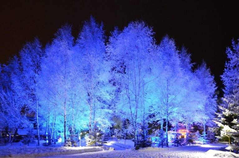 Новый год в отеле Подмосковья