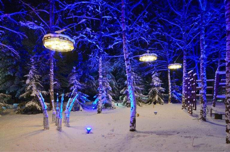 Новый год в отеле Подмосковья