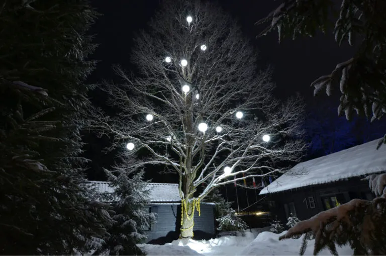 Новый год в отеле Подмосковья