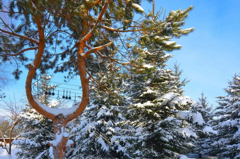 Новый год в отеле Подмосковья