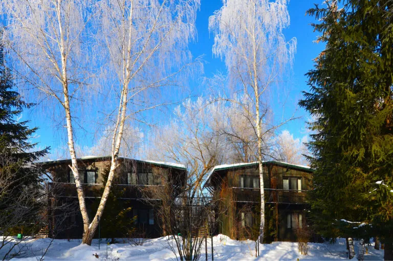 Новый год в отеле Подмосковья