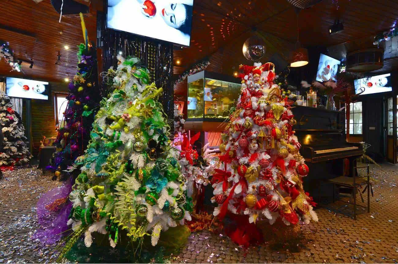Новый год в отеле Подмосковья