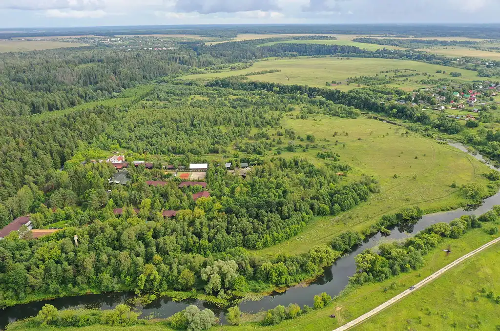 Отдых с животными