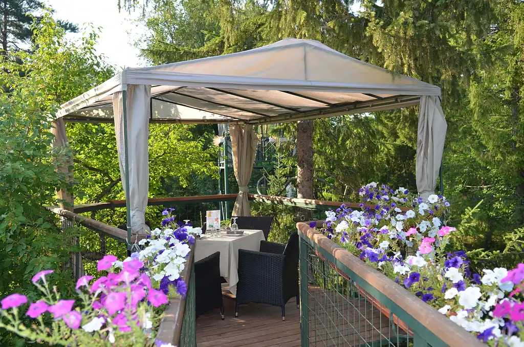 Зеленая терраса с цветущими растениями и уютной беседкой на фоне густой зелени леса. Отличное место для романтического обеда или отдыха на свежем воздухе в Подмосковье.