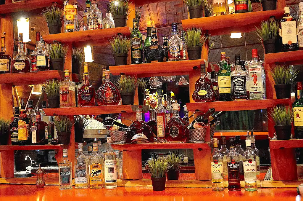 Акв 15 Фрагмент стойки бара алкоголь — копия_15