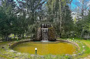 Уголок природы с водопадом и прудом, окруженный соснами и березами, подходит для отдыха на свежем воздухе, спокойствия и уединения в лесу.