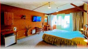 Комната в арт-отеле VE Art Resort с деревянной отделкой, большим кроватью и современными удобствами, светлым интерьером и панорамными окнами для приятного отдыха в Подмосковье.