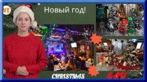 Где можно отдохнуть с собакой в Подмосковье