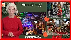 Где можно отдохнуть с собакой в Подмосковье