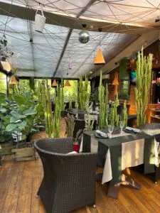 Уютный ресторан с зеленью и кактусами, светлое пространство с деревянным полом, стильный дизайн, теплая атмосфера, идеально подходит для отдыха в ВЕ Art Resort.