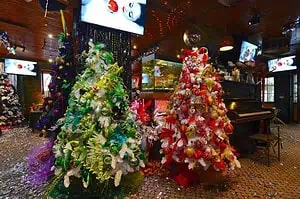 Новый год в Подмосковье с программой