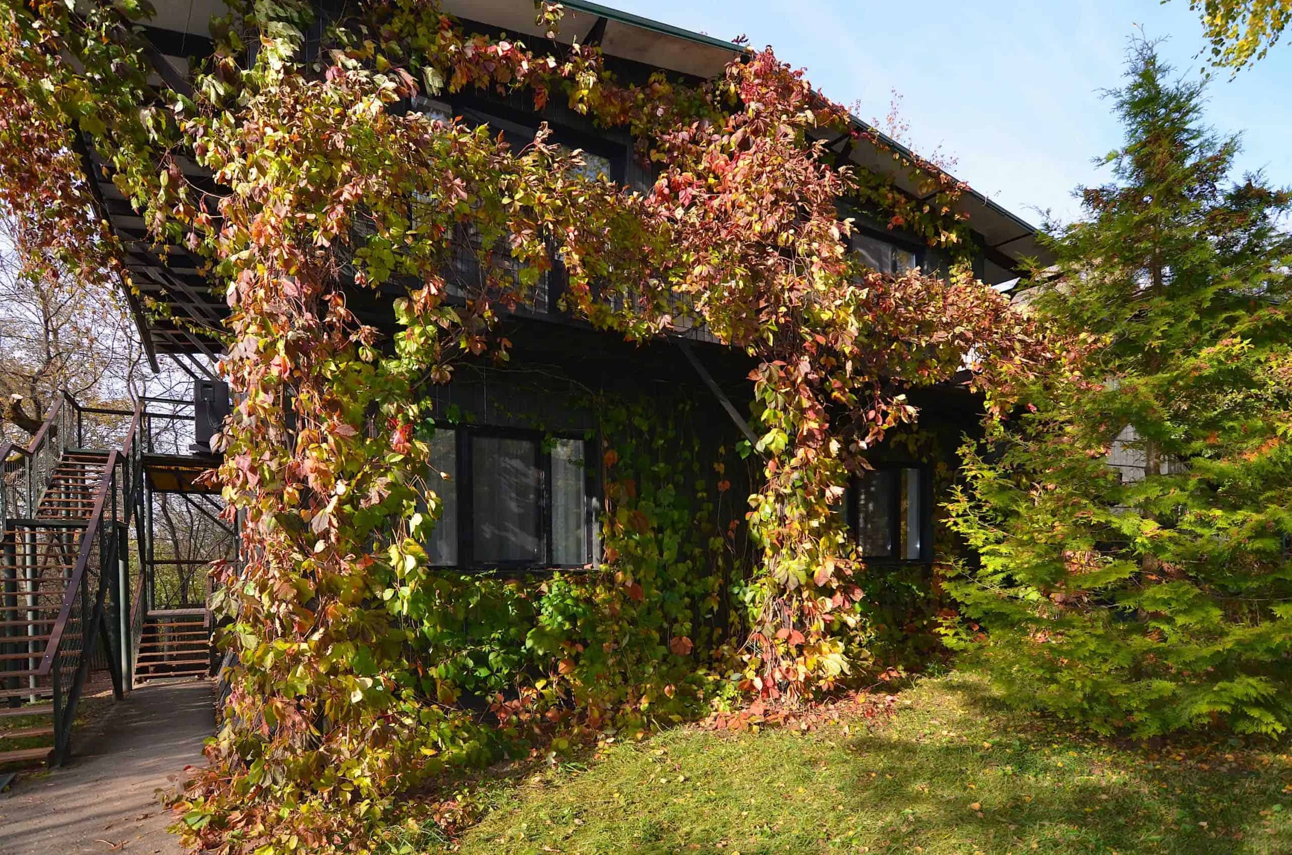 Домики для отдыха в Подмосковье на выходные